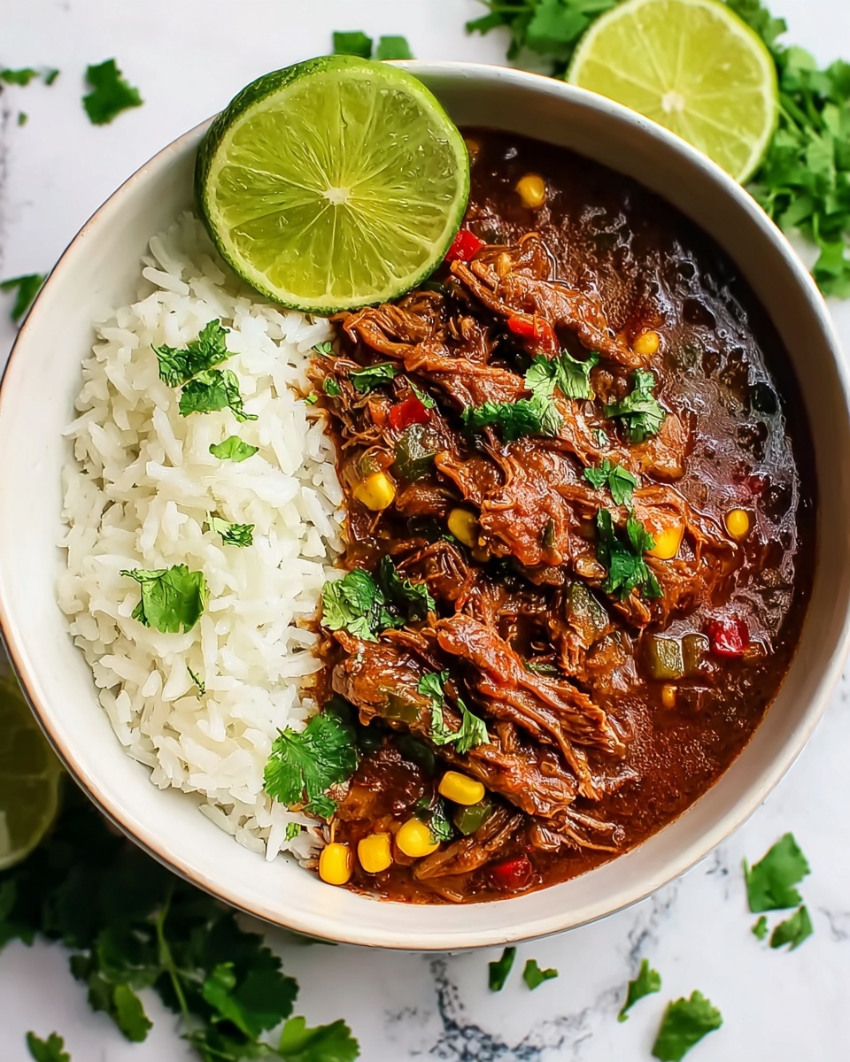 Coconut Curry Shredded Beef Recipe - Recipe Image