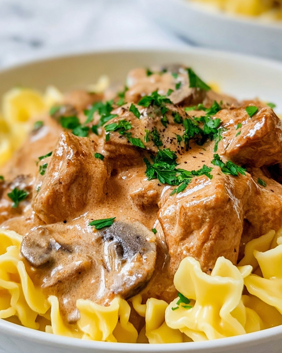 Quick and Easy Ground Beef Stroganoff Recipe - Recipe Image