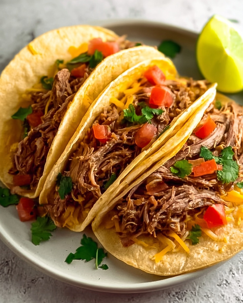 Crockpot Shredded Beef Tacos Recipe - Recipe Image