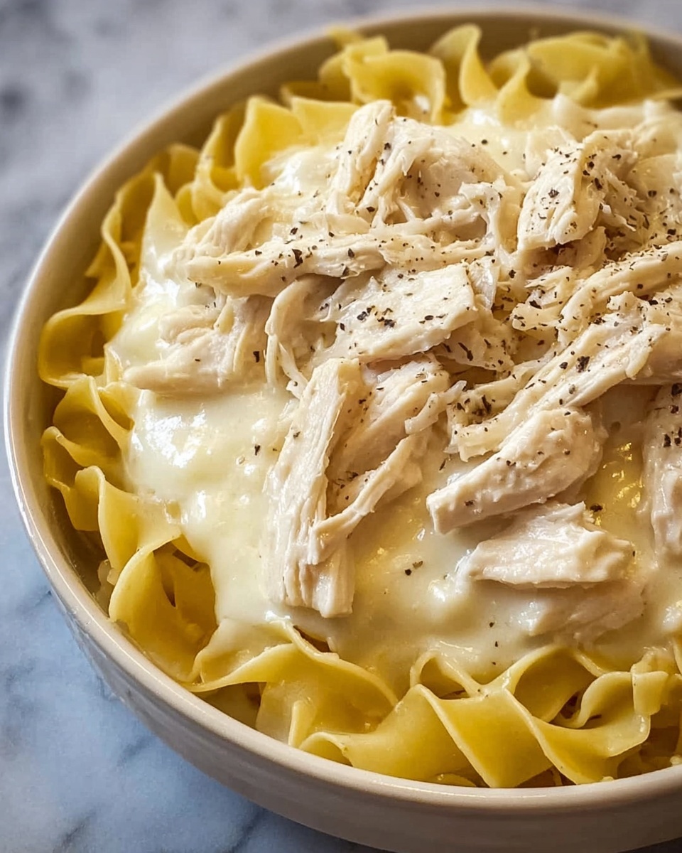 Amish Chicken & Noodles Recipe - Recipe Image